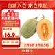 京鮮生 哈密瓜/西州蜜 1粒裝 單果2.5斤起 生鮮水果