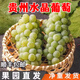 夢(mèng)茜兒順豐 貴州水晶葡萄 新鮮香甜青葡萄特產(chǎn)孕婦水果整串現摘 5斤 順豐到家 氣柱包裝 現摘品質(zhì)水晶葡萄