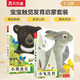 亮麗精美觸摸書 小兔比利+小熊波比（套裝2冊） 0-2歲點(diǎn)讀版幼兒啟蒙仿真觸感觸摸書紙板書認(rèn)知書嬰兒立體圖畫繪本