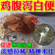 華畜雞拉稀拉白便專用藥感冒發(fā)燒咳嗽雞鴨鵝拉稀白痢腸炎腹瀉雞拉稀藥 體驗(yàn)裝【雞走路不穩(wěn)用】