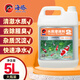 海豚 硝化細菌養魚(yú)用品硝化菌水質(zhì)維護活性菌消化細菌 魚(yú)池魚(yú)缸凈水用 2號 水質(zhì)澄清劑 5L