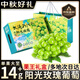 迎畔陽光玫瑰葡萄 四川晴王香印提子新鮮水果中秋節(jié)禮物送禮 凈重4.5-5斤裝 單果7-10g