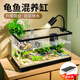 添悅烏龜飼養(yǎng)缸家用帶曬臺塑料魚缸生態(tài)養(yǎng)龜造景大小號水陸混養(yǎng)缸箱盆 大號+曬臺+過濾+曬燈+造景+綠植