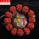裴南葦五六瓣金剛機刷包漿玉化滿(mǎn)肉大金剛菩提子佛珠手串念珠男女禮品金剛菩提五瓣18mm手串