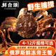 鮮合頌帝王蟹特大俄羅斯進(jìn)口鮮活冷凍超大皇帝蟹海鮮送禮禮盒 【實(shí)惠款】4.5-5斤/只（活凍）