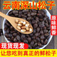 云南新鮮生松子原味大顆粒手剝松仁零食堅(jiān)果2023新貨松樹籽非東北 1斤新鮮松子【送夾子】