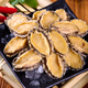星河灣鮑魚肉新鮮冷凍400g(30-35只)活鮑現(xiàn)剝?nèi)とザ羌內(nèi)怩U魚肉 1袋
