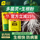 史丹利多菌靈生根粉多菌靈加生根粉生根液多靈菌植物通用型滅菌靈 生根粉500g+多菌靈100g 史丹利榮譽(yù)出品