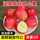 正宗東北雞心果2025錦繡海棠果特產(chǎn)沙果小蘋果水果新鮮整箱當季 3斤大果45g+發(fā)順豐
