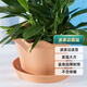 萌優(yōu)優(yōu) 歐式陶土風(fēng)格花盆 加厚多肉綠植花盆帶托盤(pán)不含綠植 波浪邊-淡棕