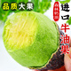 知鮮灣進(jìn)口牛油果嬰兒鱷梨新鮮水果應季果肉滑嫩 10個(gè)巨無(wú)霸【170-200g】森林奶油