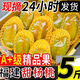 梅時(shí)美季現(xiàn)貨包郵福建甜楊桃5斤水果當(dāng)季整箱洋桃鮮果新鮮紅揚(yáng)桃五角陽桃 5斤【福建甜楊桃】