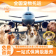 寵物托運服務(wù)全國上門(mén)接送貓咪狗狗飛機進(jìn)客艙運輸出國辦理手續
