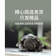 奶蘿麝香龜苗小龜大龜公龜母龜活體蛋龜深水龜觀(guān)賞龜小烏龜活物爬寵 極品全品麝香 2-3厘米幼苗 單身一只【已打抗體