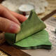 首力樹(shù)葉便利貼創(chuàng  )意葉子便簽紙條外賣(mài)可愛(ài)ins便條貼diy留言本標簽貼紙 【超值裝】樹(shù)葉便利貼-250張/5本