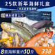 【現(xiàn)貨】青島海鮮禮盒 過節(jié)海鮮大禮包 海鮮海產(chǎn)禮盒新年年貨禮品 A1 388款 8種含大蝦/大黃魚