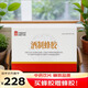中國藥材 酒制蜂膠 3g（50mg*60粒）/盒中藥飲片補虛弱化濁脂 高脂血癥 3g/盒【買3g送0.3g】