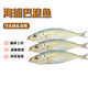 乃鮮深海捕撈巴浪魚(yú) 去除內臟真空凍硬發(fā)貨 1000g約8-12條去除內臟800g左右 巴浪魚(yú)幫去內臟真空冷凍后發(fā)出