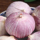 滇圣2024新獨(dú)蒜濕紅獨(dú)頭蒜珍珠頭大蒜紫皮新鮮蔬菜辣干蒜5斤云南當(dāng)季 獨(dú)頭蒜果王3.6cm  0g 獨(dú)頭蒜果 半斤