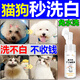 寵物離子水比熊嘴巴去黃胡子去淚痕雪納瑞去紅胡子專(zhuān)用免洗除臭劑 單瓶裝【快速清潔除臭】