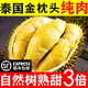 （順豐）泰國A級金枕頭新鮮冷凍榴蓮果肉有核批發(fā)進(jìn)口水果無(wú)殼 250克金枕果肉（樹(shù)熟不夠吃）