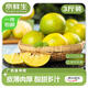 京鮮生 廣西皇帝柑 貢柑 凈重3斤 單果50mm+ 新鮮水果 源頭直發(fā)包郵