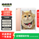 Apple 蘋(píng)果平板電腦 iPad Air3 二手平板電腦 金色 64G