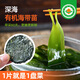 食尚農場(chǎng)壹號有機海帶苗嫩芽霞浦干貨海帶絲壓縮非鹽漬火鍋食材涼拌12g*10袋