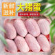 精選新鮮冷凍豬蛋豬寶睪丸燒烤土豬鹵味食材滋補(bǔ)豬腰子 豬蛋寶【4斤裝】