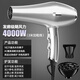松（Panasoic）下同款電吹風(fēng)機(jī)家用大功率發(fā)廊專用理發(fā)店4000w負(fù)離子護(hù)發(fā)速干風(fēng)筒 頂配版:太空銀-4000W