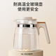 小白熊全玻璃恒溫水壺嬰兒恒溫調(diào)奶器溫奶5025配件 隨機(jī)發(fā)貨 8657