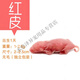 饞嘴小怪獸無(wú)菌乳鼠冷凍小白鼠喂蛇貓角蛙龜龍魚(yú)開(kāi)口飼料紅粉皮紅皮白霜冷凍 獨立包裝[買(mǎi)10只+2只] [紅皮1-2.5克]