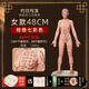 天琢媚針灸人體模型實心硅膠仿真穴位經(jīng)絡(luò)可反復扎針練習男女 升級版48厘米女  實心硅膠仿真款七彩色經(jīng)絡(luò)