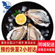 樂食港國產(chǎn)生蠔5斤裝鮮活大個 牡蠣新鮮海蠣子山東貝類活鮮 XXXL號（5斤）約10-12個--推薦--
