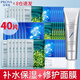 珀萊雅（PROYA）面膜美白補(bǔ)水淡斑提亮膚色抗皺提拉緊致保濕熬夜多片大容量裝 水母*20+小球藻*20+解渴面膜1瓶