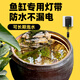 JJTOOP魚(yú)缸造景專用led防水燈帶超亮水下景觀裝飾古法缸12v24v自粘燈條 【2米-低壓防水】自然光4000K
