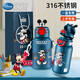 迪士尼（Disney）兒童保溫杯316不銹鋼直飲吸管水杯子幼兒園學(xué)生寶寶雙飲水壺米奇