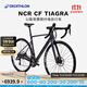 迪卡儂NCR Tiagra公路車(chē)自行車(chē)全碳纖維破風(fēng)專(zhuān)業(yè)競速賽車(chē)超輕 星際灰 L碼 適合身高：181cm-186cm