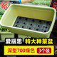 愛(ài)麗思陽(yáng)臺種菜盆種菜箱草莓種植盆長(cháng)條花盆塑料蔬菜種植箱種菜專(zhuān)用盆 【3個(gè)裝】深型700綠色
