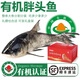 太湖?！居袡C(jī)胖頭魚】 淡水大魚類水產(chǎn) 南都湖花鰱鳙魚生鮮年貨團(tuán)購(gòu)禮盒 10斤【大魚禮盒裝】-整條分割