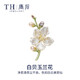 唐后正品天然白玉蘭花胸針高檔女淡水珍珠奢華別針?biāo)蛬寢岄L輩禮物 天然白貝玉蘭花-送官方鑒定證書