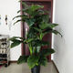 仿真綠植假樹發(fā)財樹落地盆栽大型客廳盆景假花塑料花裝飾仿真樹 2米綠巨人+盆+草