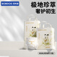 巴布豆（BOBDOG）雪域極光拉拉褲超薄透氣尿不濕紙尿褲試用夜用極地珍萃奢護(hù)新生 拉拉褲XXXL36片【34斤以上】