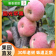 國光蘋(píng)果正宗老品種小國光酸甜脆口山東五蓮30年老樹(shù)自然成熟 5斤 大果70mm以上