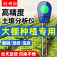 精明猴土壤檢測儀養花泥土質(zhì)測試儀園藝高精度溫濕度計ph值測試器 高精度數顯款：濕度酸堿度溫度