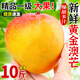 黃金澳芒新鮮精品芒果應(yīng)季水果樹上自然熟大果純甜無酸芒整箱 3斤 【中果裝】香甜多汁，超值實惠