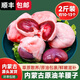 塞音鮮川 內(nèi)蒙古 新鮮原油羊腰子 羊腎燒烤食材羊腰子 原油羊腰 新鮮原油羊腰子2斤