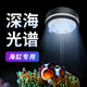 益科達海缸燈珊瑚日出日落氛圍造景魚缸燈led燈防水全光譜海水照明夾燈 【APP智能款】12W- 適用35-45缸