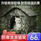 王太醫(yī) 流浪貓窩防水狗窩戶(hù)外防雨雪防寒屋冬季保暖室外封閉式貓舍通用 迷彩款（無(wú)門(mén)簾） 大號(hào)適合貓12/狗10斤