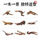雨花洛爬寵攀爬木鬃獅蜥曬臺(tái)捷角守宮蛇躲避飼養(yǎng)箱造景天然枯木樹枝沉木 尺寸7-10cm隨機(jī)發(fā)2塊
